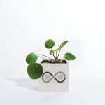 Aluminium Desktop Plant