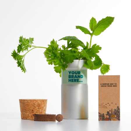 Desktop Garden - Wellness & Wellbeing