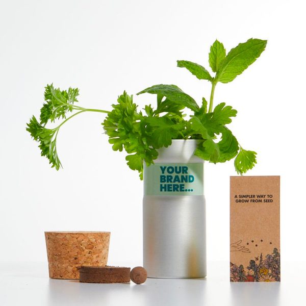 Desktop Garden - Wellness & Wellbeing